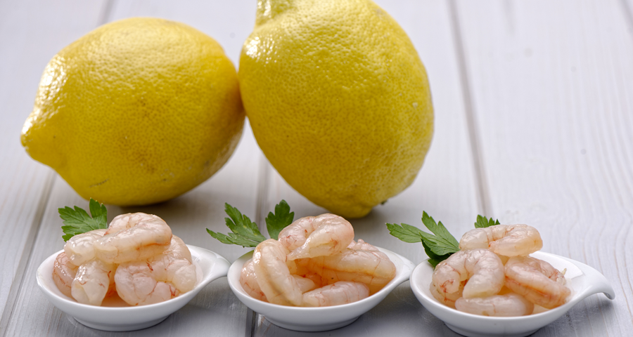 Gamba pelada New Concisa