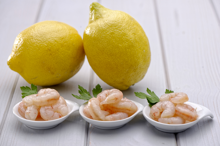 Gamba pelada New Concisa