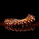 Pata de pulpo cocido New Concisa