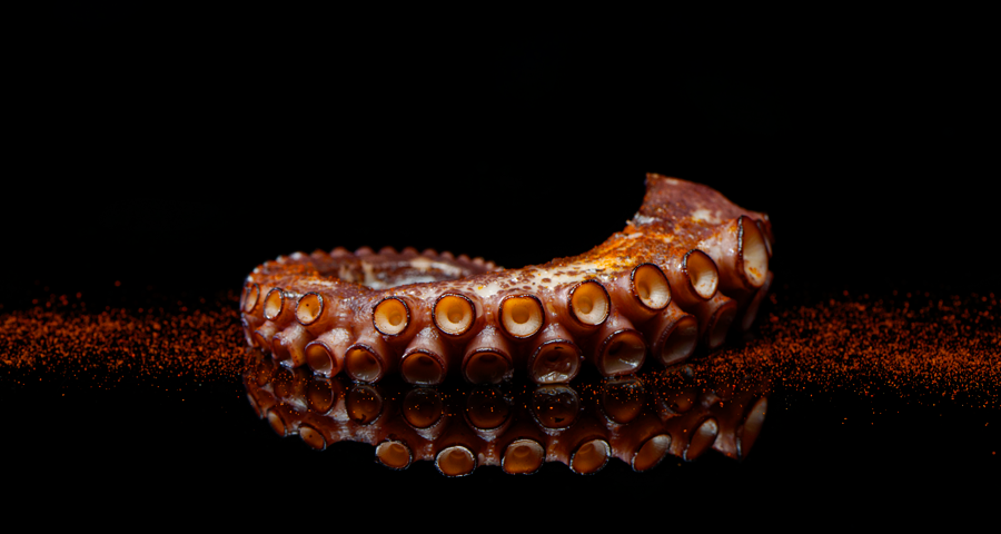 Pata de pulpo cocido New Concisa