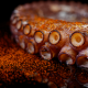 Pata de pulpo cocido IQF