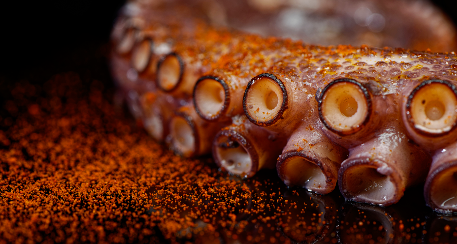 Pata de pulpo cocido IQF