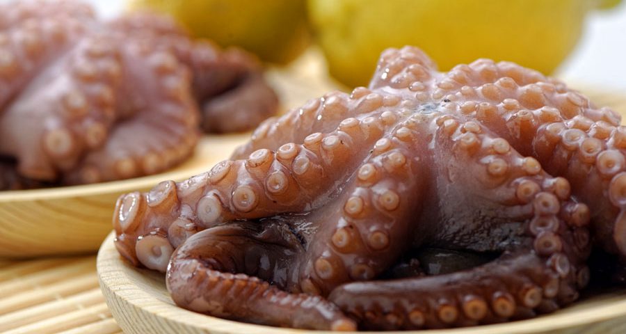Pulpo batido en flor