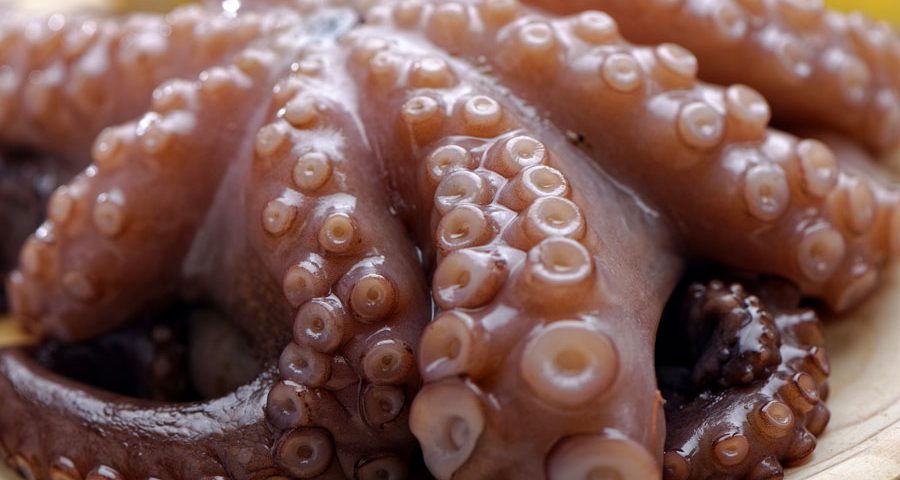 Pulpo batido IQF