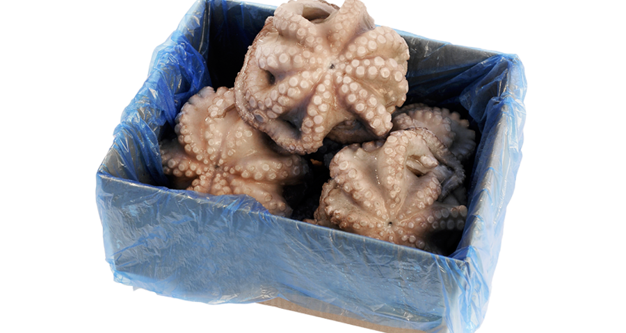 Pulpo batido New Concisa