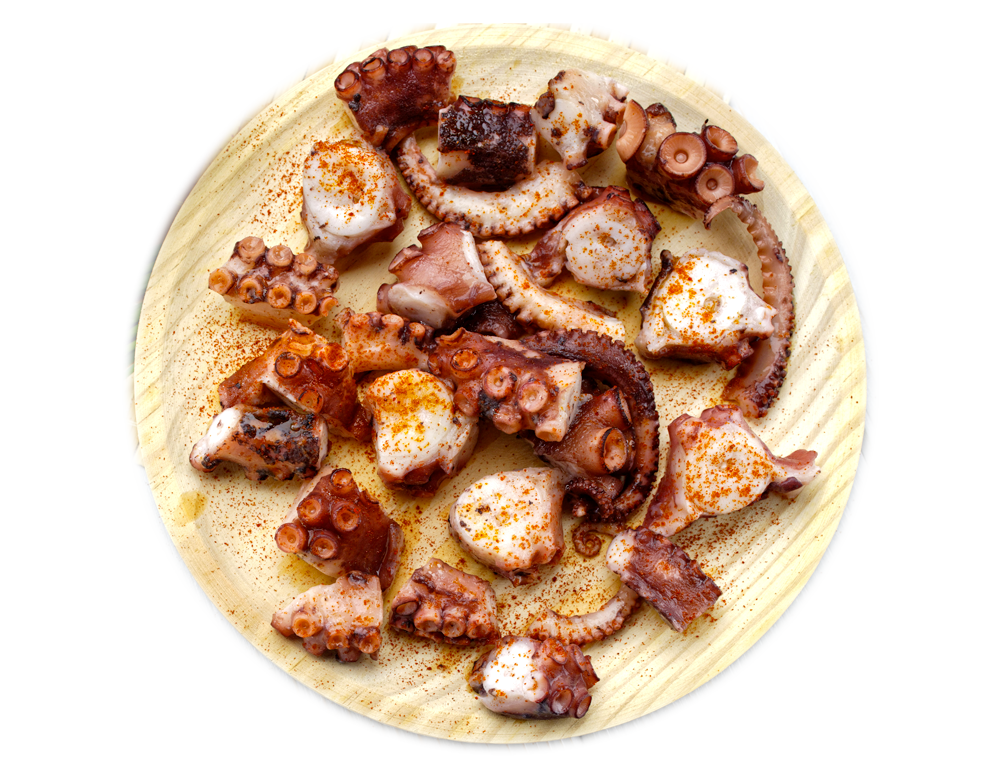 pulpo-new-concisa