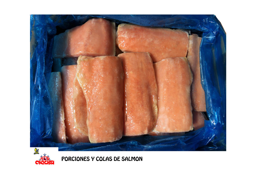 PORCIONES Y COLAS SALMON