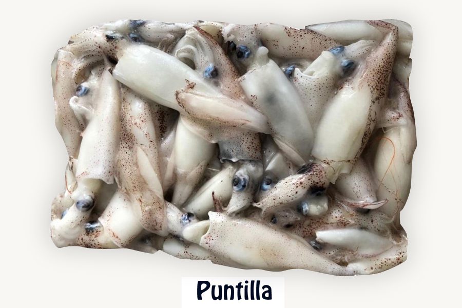 puntilla-new-concisa