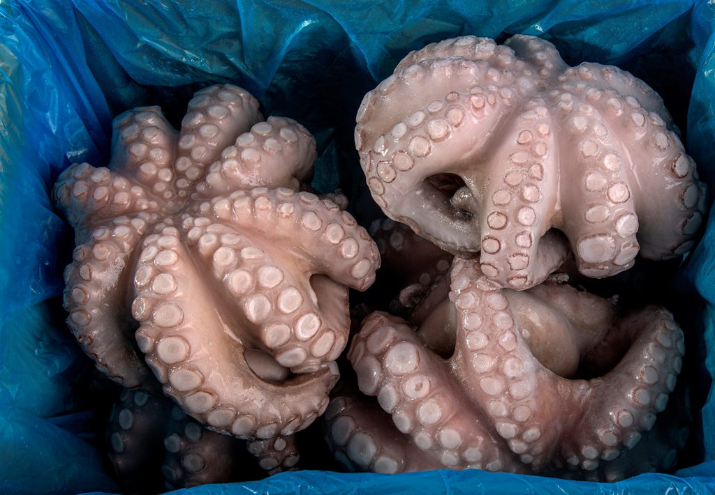 pulpo-batido-en-flor