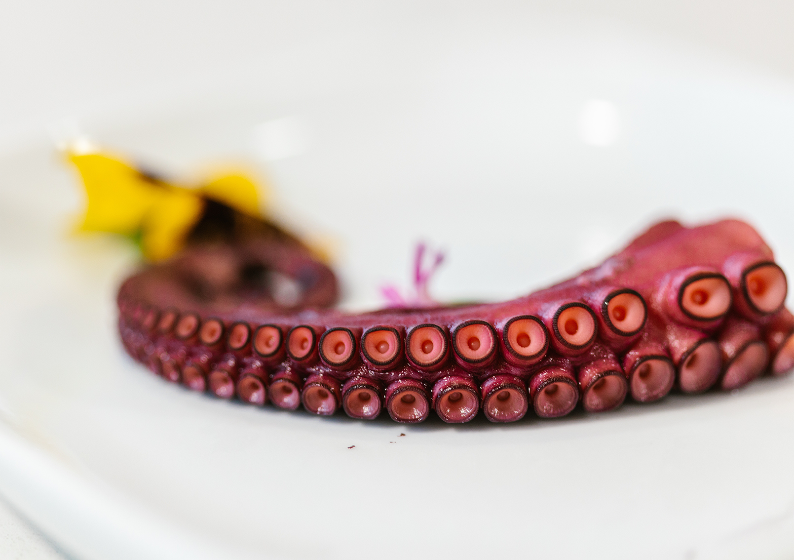Crema-de-calabaza-con-brocheta-de-pulpo-1